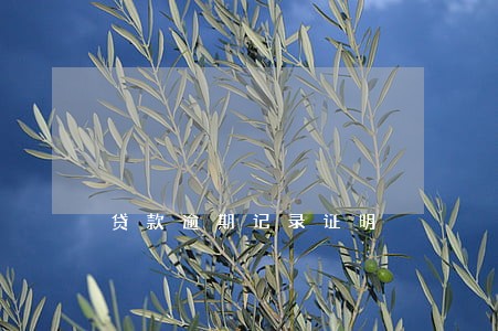 贷款逾期记录证明 贷款逾期记录证明