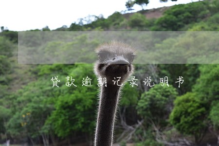 贷款逾期记录说明书 贷款逾期记录说明书