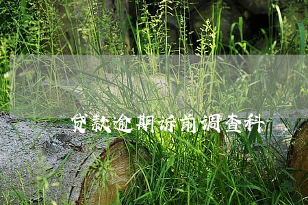 贷款逾期诉前调查科 贷款逾期诉前调查科