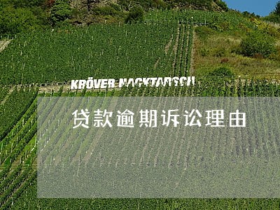 贷款逾期诉讼理由 贷款逾期诉讼理由