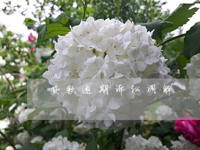 贷款逾期诉讼调解 贷款逾期诉讼调解