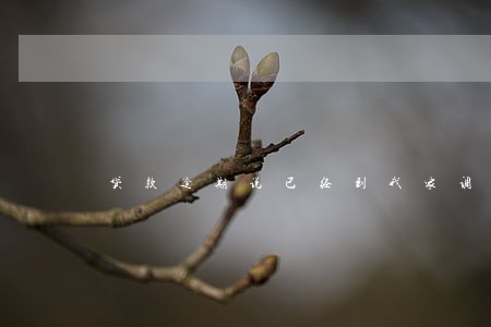 贷款逾期说已经到我家调查