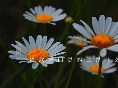 贷款逾期说的二是什么意思 贷款逾期说的二是什么意思
