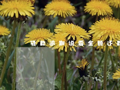贷款逾期说要全额还款 贷款逾期说要全额还款