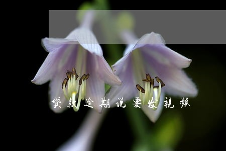 贷款逾期说要发视频 贷款逾期说要发视频
