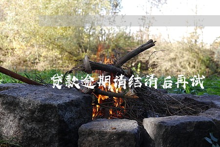 贷款逾期请结清后再试 贷款逾期请结清后再试