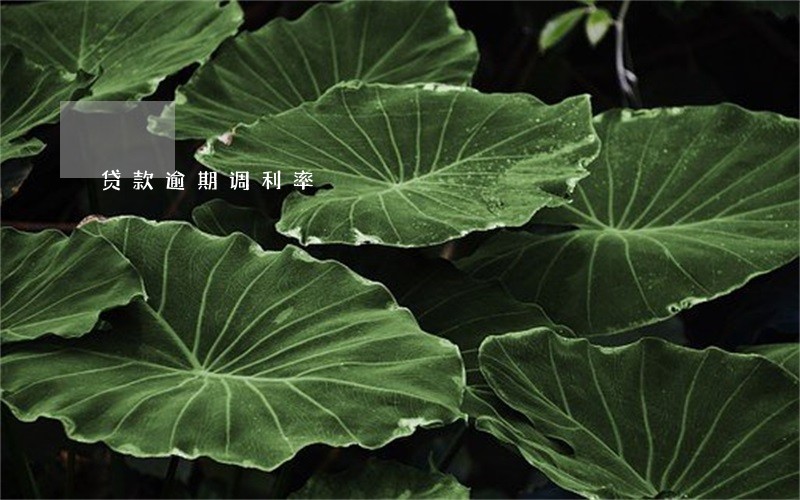 贷款逾期调利率 贷款逾期调利率