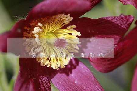 贷款逾期负面影响 贷款逾期负面影响