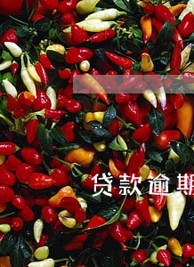 贷款逾期责任 贷款逾期责任