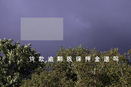 贷款逾期质保押金退吗 贷款逾期质保押金退吗