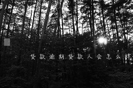 贷款逾期贷款人会怎么样 贷款逾期贷款人会怎么样