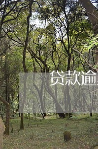 贷款逾期费分录 贷款逾期费分录