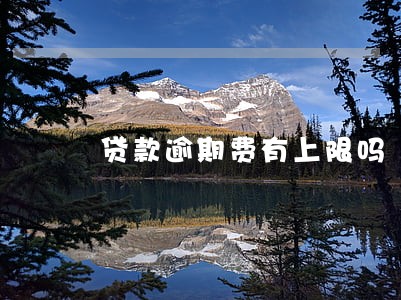 贷款逾期费有上限吗 贷款逾期费有上限吗
