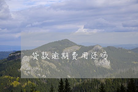 贷款逾期费用还吗 贷款逾期费用还吗