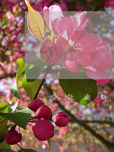 贷款逾期费的计算 贷款逾期费的计算
