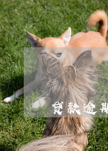 贷款逾期费高吗 贷款逾期费高吗