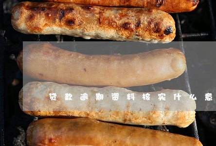 贷款逾期资料核实什么意思 贷款逾期资料核实什么意思