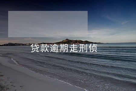 贷款逾期走刑侦