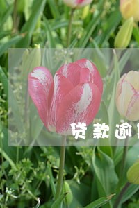 贷款逾期走诉讼程序 贷款逾期走诉讼程序