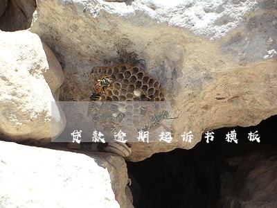 贷款逾期起诉书模板