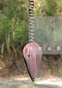 贷款逾期起诉会怎样 贷款逾期起诉会怎样