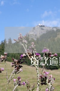 贷款逾期起诉前催收