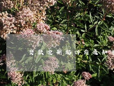 贷款逾期起诉前通知书 贷款逾期起诉前通知书