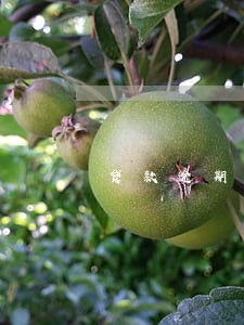 贷款逾期起诉坐牢 贷款逾期起诉坐牢