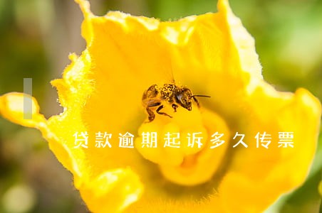 贷款逾期起诉多久传票 贷款逾期起诉多久传票