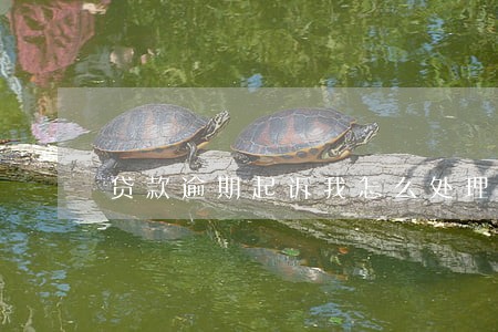 贷款逾期起诉我怎么处理 贷款逾期起诉我怎么处理