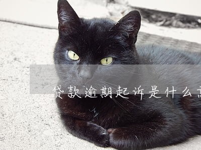 贷款逾期起诉是什么意思 贷款逾期起诉是什么意思
