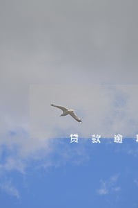 贷款逾期起诉没有收到判决书 贷款逾期起诉没有收到判决书