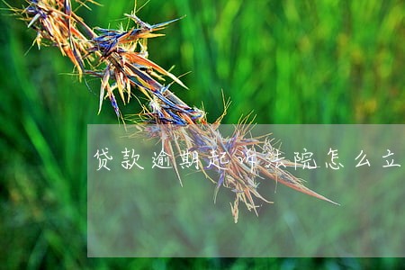 贷款逾期起诉法院怎么立案 贷款逾期起诉法院怎么立案