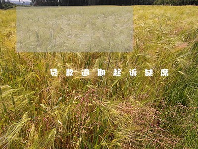 贷款逾期起诉缺席 贷款逾期起诉缺席