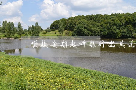 贷款逾期起诉银行出具说明