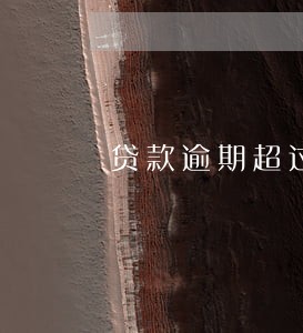 贷款逾期超过11个月 贷款逾期超过11个月
