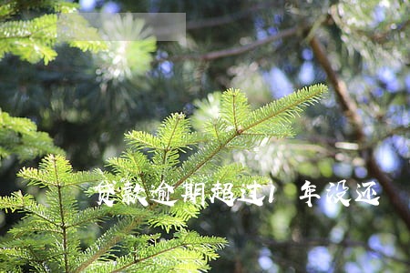 贷款逾期超过1年没还 贷款逾期超过1年没还