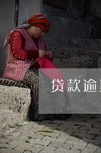 贷款逾期超过3个月归还贷款 贷款逾期超过3个月归还贷款