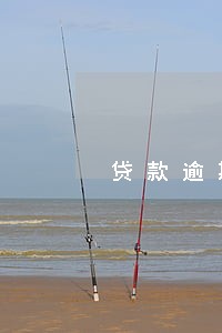 贷款逾期超过5万 贷款逾期超过5万