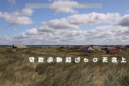 贷款逾期超过60天会上征信 贷款逾期超过60天会上征信