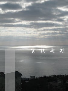 贷款逾期跟踪 贷款逾期跟踪