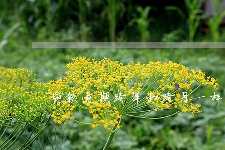 贷款逾期跨年和跨月一样嘛 贷款逾期跨年和跨月一样嘛