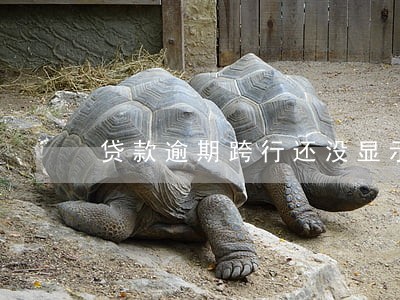 贷款逾期跨行还没显示 贷款逾期跨行还没显示