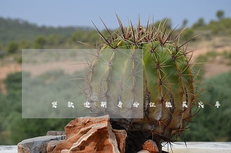 贷款逾期身份证能买火车票