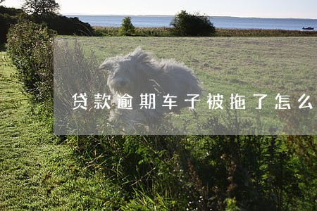 贷款逾期车子被拖了怎么办 贷款逾期车子被拖了怎么办