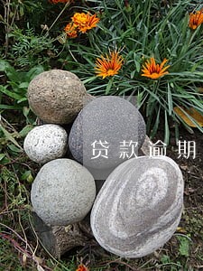 贷款逾期车贷透支 贷款逾期车贷透支