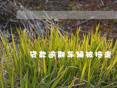 贷款逾期车辆被拖走