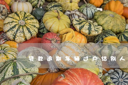 贷款逾期车辆过户给别人