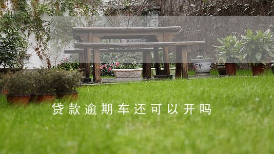 贷款逾期车还可以开吗 贷款逾期车还可以开吗