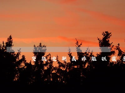贷款逾期轰炸能拦截多少 贷款逾期轰炸能拦截多少